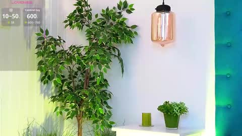 Luna online show from November 2025 06:14:02 AM