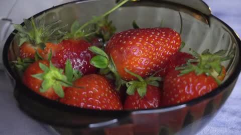 Amelia online show from May 2026 10:50:03 PM