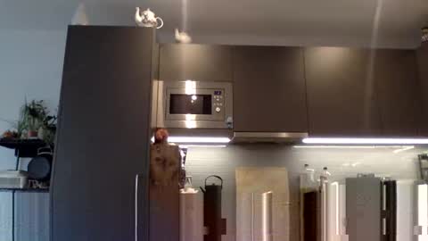 Lupine online show from December 2024 10:56:01 AM