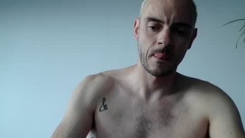 Lupine online show from September 2025 01:44:02 PM