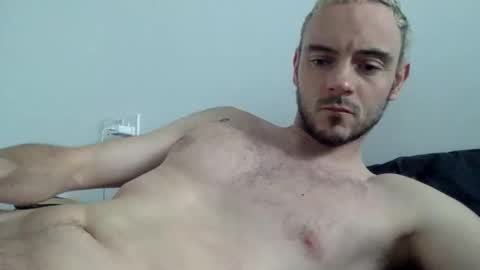 Lupine online show from October 2025 10:07:01 AM