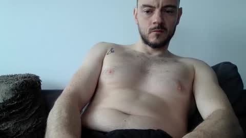 Lupine online show from March 2026 08:26:33 AM