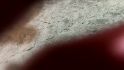 lust_4_daze online show from February 2026 07:21:01 PM