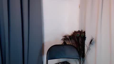 lustyseraphina online show from February 2026 06:52:02 PM