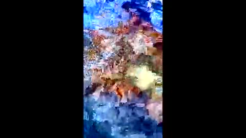 Peter Jacksone online show from January 2026 08:54:01 PM