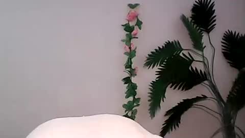 Snapshot of luvu4everxxx chatting on September 2025 01:38:02 AM Bee Bee online show from September 2025 01:38:02 AM