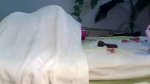 Snapshot of luvu4everxxx chatting on September 2025 03:41:02 AM Bee Bee online show from September 2025 03:41:02 AM