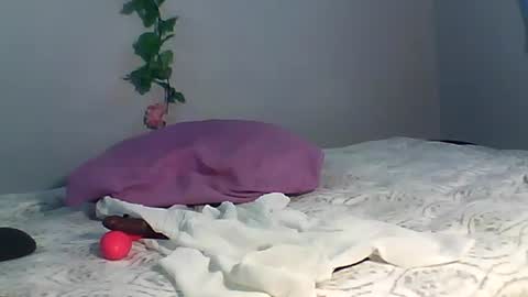 Snapshot of luvu4everxxx chatting on October 2025 03:50:02 AM Bee Bee online show from October 2025 03:50:02 AM