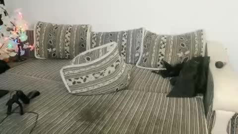 LuxMelys online show from December 2024 05:48:01 AM