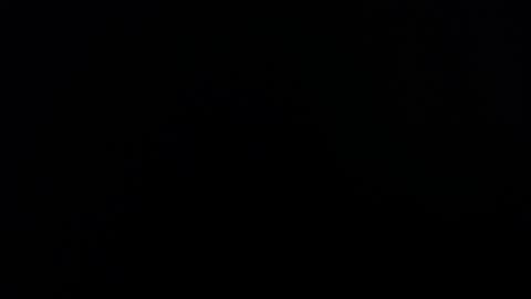 Lesly And Arnold online show from November 2025 04:00:01 AM