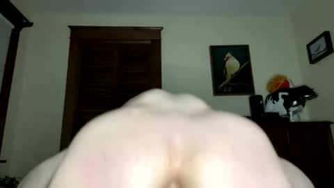 Snapshot of lyleblue92 chatting on February 2026 09:35:02 AM lyle blue online show from February 2026 09:35:02 AM