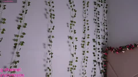 Snapshot of lyly_loveyou chatting on September 2025 07:41:01 AM Lyly online show from September 2025 07:41:01 AM