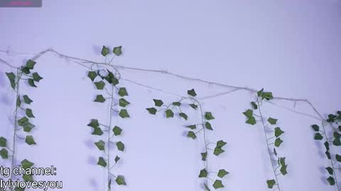 Snapshot of lyly_loveyou chatting on November 2025 05:39:02 AM Lyly online show from November 2025 05:39:02 AM