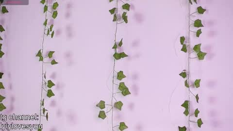 Snapshot of lyly_loveyou chatting on November 2025 05:34:01 AM Lyly online show from November 2025 05:34:01 AM