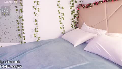 Snapshot of lyly_loveyou chatting on November 2025 06:27:01 AM Lyly online show from November 2025 06:27:01 AM