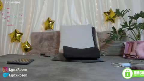 Snapshot of lynxrosen chatting on January 2025 09:06:01 PM Lynx Rosen online show from January 2025 09:06:01 PM