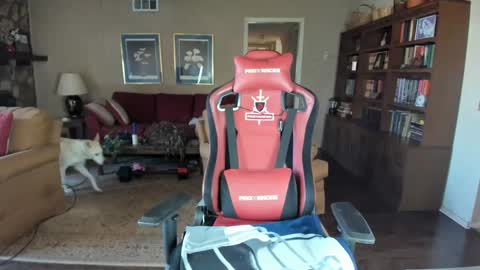 machinecumkelly69 online show from February 2025 05:58:02 PM