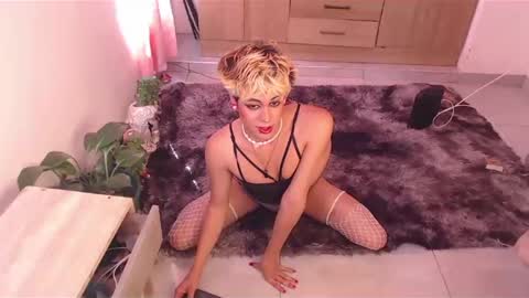 machissex online show from January 2025 07:42:02 PM