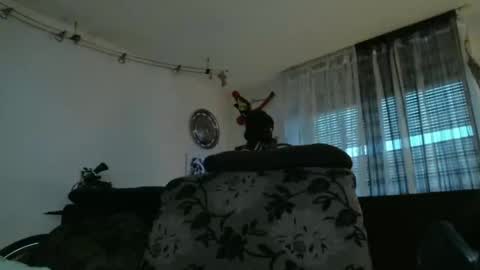 Snapshot of mad_dem0n chatting on December 2024 03:39:01 PM Manuel online show from December 2024 03:39:01 PM