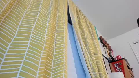 madmonkeyman10 online show from December 2025 04:19:02 AM