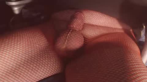 maestro2017 online show from February 2026 11:30:01 PM