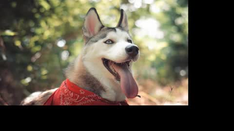 Snapshot of magic_katarina_ chatting on January 2025 02:36:01 PM magic_katarina_ online show from January 2025 02:36:01 PM