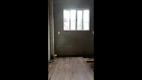 SILVA online show from March 2026 03:58:01 PM