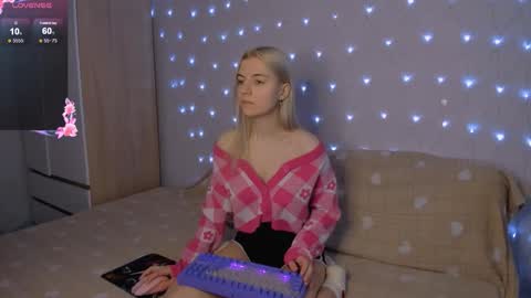 Your kitty online show from January 2026 03:33:01 AM