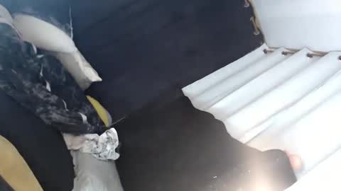 Lei online show from January 2025 07:11:01 AM