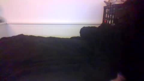 CommandbondageNipples bondage kink submissive lovense slave wgear. modequiethvyBondage If Password goldfish online show from October 2025 07:20:02 AM