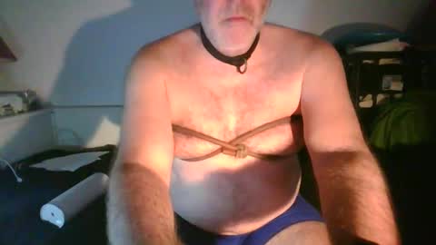 CommandbondageNipples bondage kink submissive lovense slave wgear. modequiethvyBondage If Password goldfish online show from November 2025 07:41:02 AM