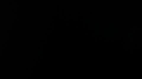 Alice Asylum online show from April 2026 09:28:01 PM