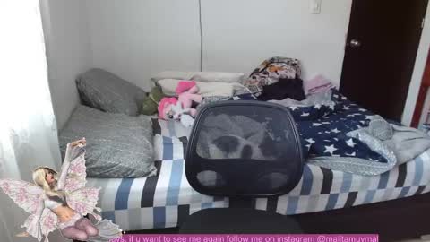 Malita online show from December 2024 04:06:01 PM