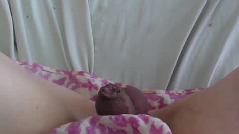 ..          .. online show from February 2025 05:35:01 PM