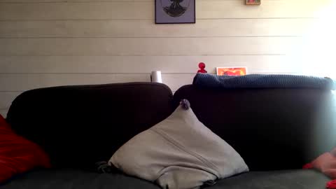 Manpo online show from October 2025 01:43:02 PM