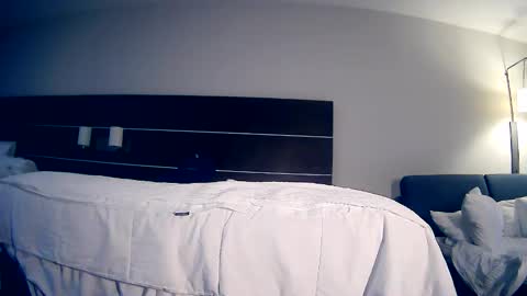 Snapshot of manuel_dexterity chatting on May 2026 01:40:01 PM Daddy online show from May 2026 01:40:01 PM