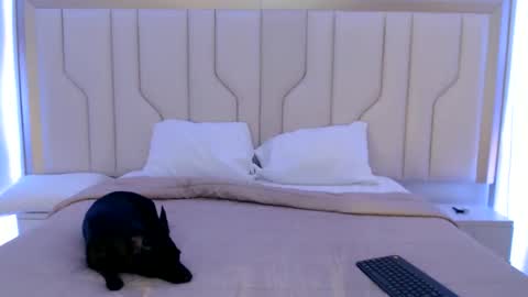 Snapshot of mara_sex chatting on June 2026 11:08:02 AM pao online show from June 2026 11:08:02 AM