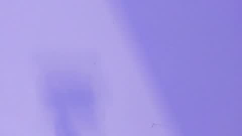 Snapshot of marcelo_dosantos77 chatting on January 2025 06:28:01 AM MARCELO online show from January 2025 06:28:01 AM