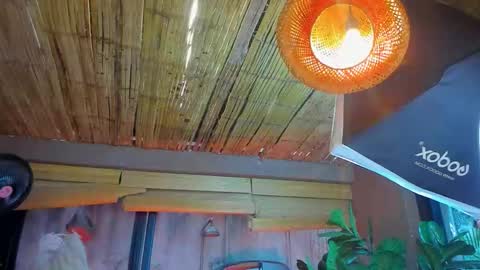 Snapshot of marcovitto chatting on November 2025 07:29:02 PM marcovitto online show from November 2025 07:29:02 PM