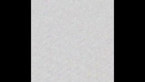 Marceline online show from February 2026 11:59:01 AM