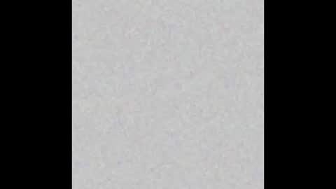 Margot online show from January 2025 11:54:01 AM