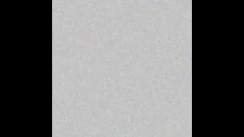 Margot online show from January 2025 11:44:02 AM