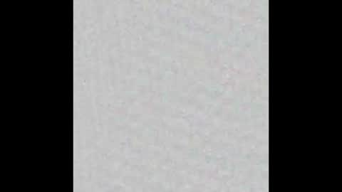 Margot online show from March 2025 11:33:01 AM