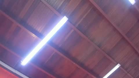 maria_turner1 online show from February 2026 12:20:01 PM