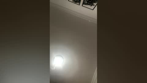 Mar y online show from February 2026 02:36:01 PM