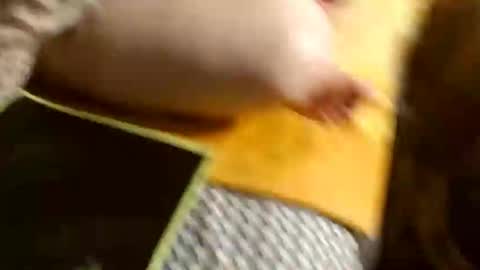marinalady online show from January 2025 10:24:01 PM