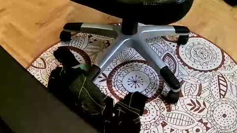 marcoxxl online show from March 2026 02:42:01 PM