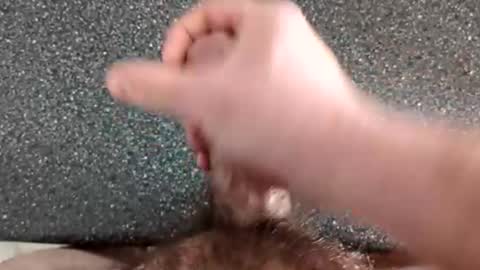 marrieddadeh online show from March 2026 04:55:01 PM