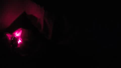 martamoontrans online show from October 2025 01:25:01 AM