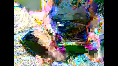 Martha online show from November 2025 07:09:02 AM